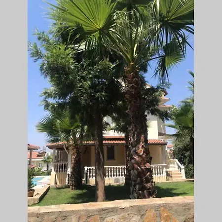 Apartment Prime